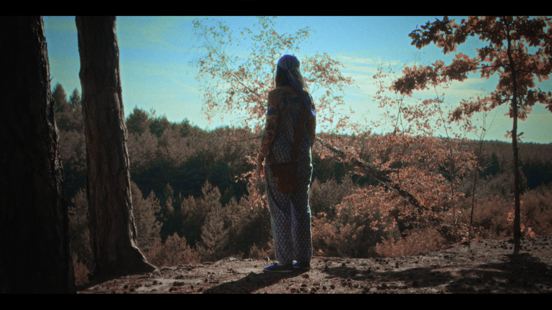 just a minute frame 1